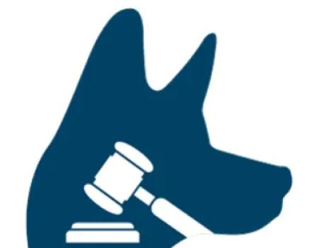TopDog Law Personal Injury Lawyers