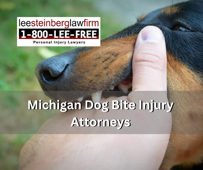 Lee Steinberg Injury Law Firm 8