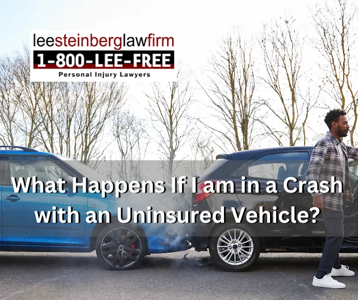 Lee Steinberg Injury Law Firm 5
