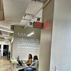 Mani Ellis & Layne, PLLC ico