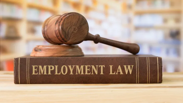 Marshall Forman & Schlein LLC 10