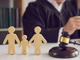 How to Protect Your Legal Rights During an Adoption Process