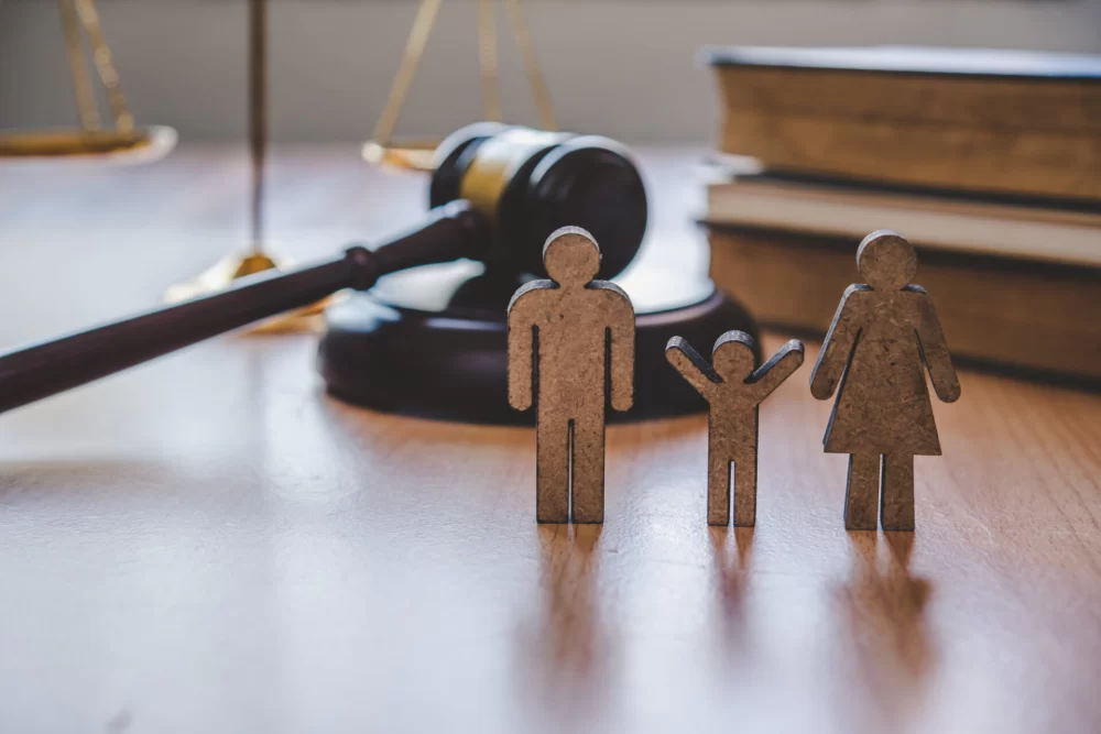 How to Choose the Right Adoption Agency and Lawyer for a Smooth Adoption Journey
