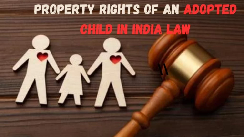 How Adoption Affects Biological Parents’ Rights: Legal Insights and Real Cases