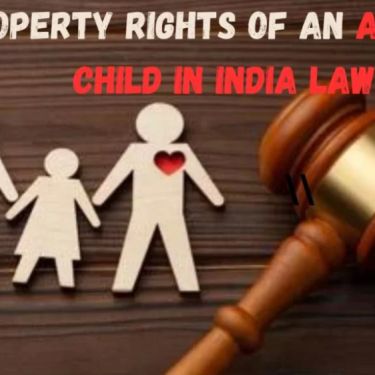 How Adoption Affects Biological Parents’ Rights: Legal Insights and Real Cases