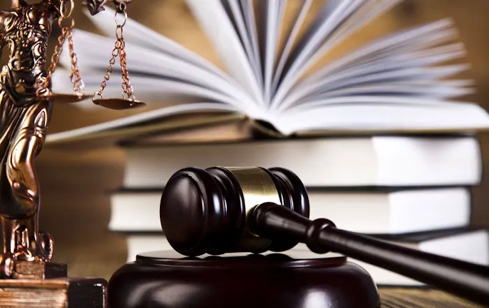 Hoglund Law 1