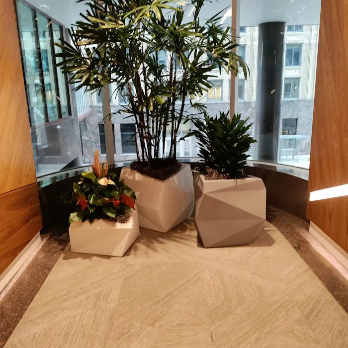 Cascarano Law Office 1