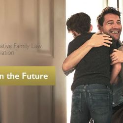 The Law Shop Minnesota ico