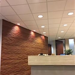 Meshbesher Law Firm ico