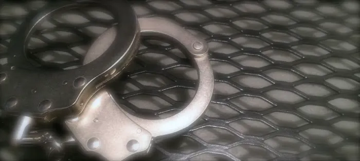 Johnson Criminal Defense 1