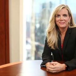 Anthony Ostlund Louwagie Dressen & Boylan P.A. ico
