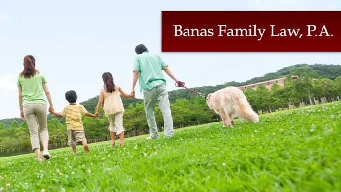 Banas Family Law 2