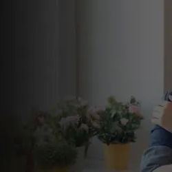 The Law Office of Lauren Campoli, PLLC ico