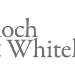 Bloch & Whitehouse, P.A. ico