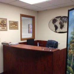 Vicki Anderson Immigration Law, LLC ico