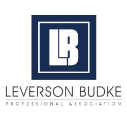 Leverson Budke ico