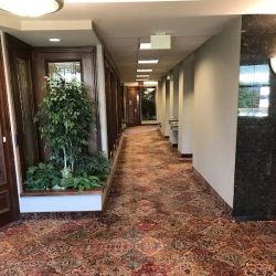 Gold Leaf Estate Planning, LLC ico