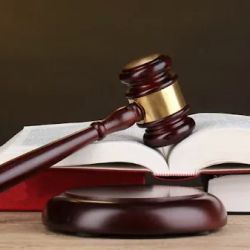 Elizabeth M. Porter, LLC ico