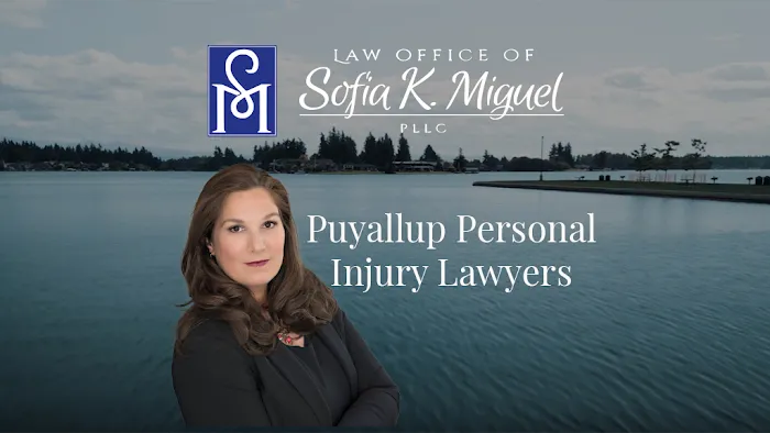 Law Office of Sofia K. Miguel, PLLC 3