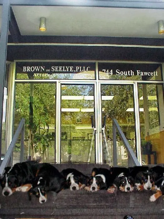 Brown and Seelye 1
