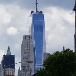 We the People Law Office ico