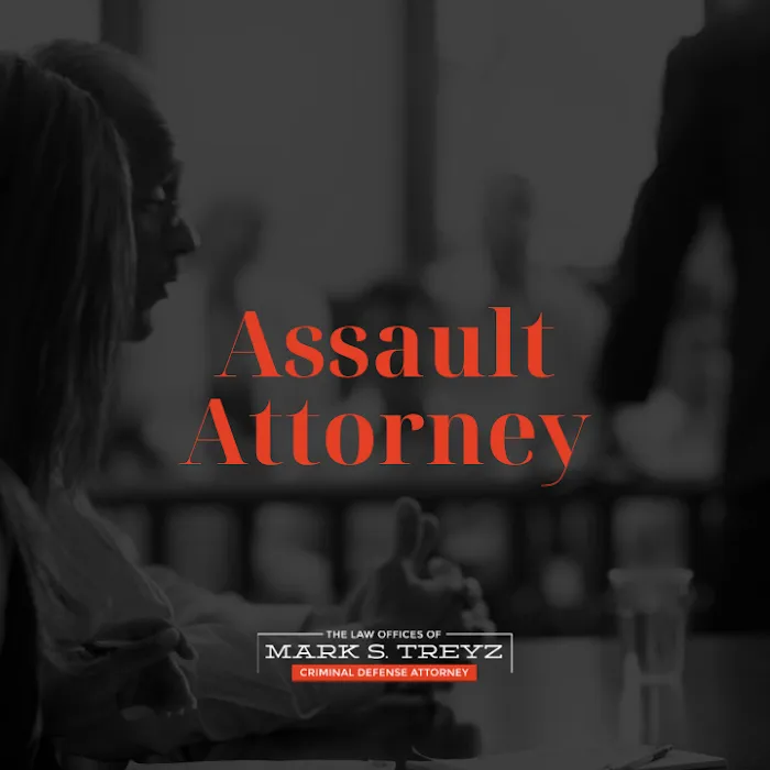 Law Office of Mark S. Treyz 7