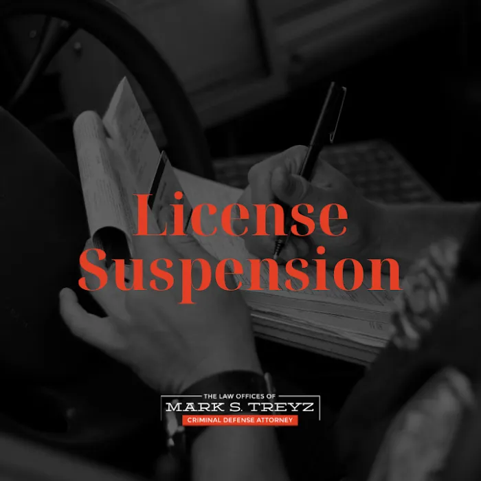 Law Office of Mark S. Treyz 8