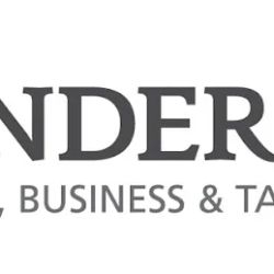 Anderson Business Advisors ico