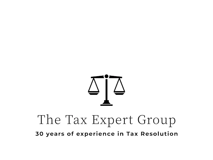 The Tax Experts Group 1