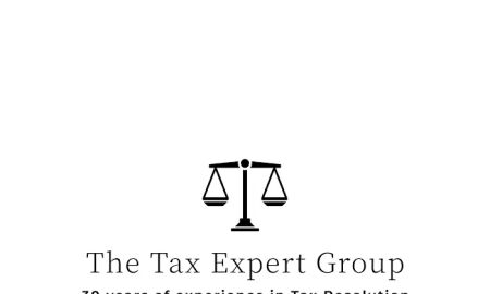 The Tax Experts Group