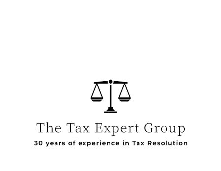 The Tax Experts Group
