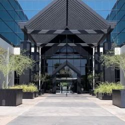 Michael J Petitti, Employment Attorney ico
