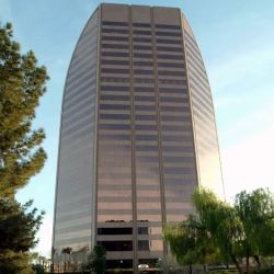 Susan Martin, Employment Attorney ico