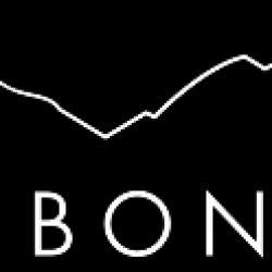 Martin & Bonnett PLLC ico
