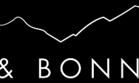 Martin & Bonnett PLLC