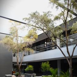 Suzuki Law Offices, L.L.C. ico