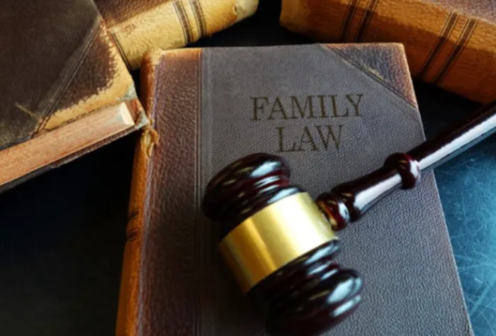 Paradise Law 6