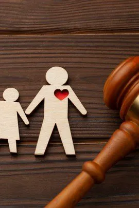 Paradise Law 8