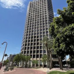 The Feldman Law Firm, PLLC ico