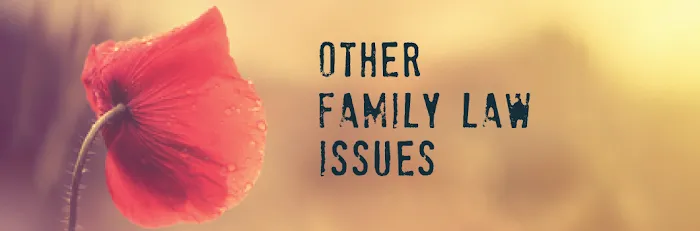 Hernandez Family Law 7