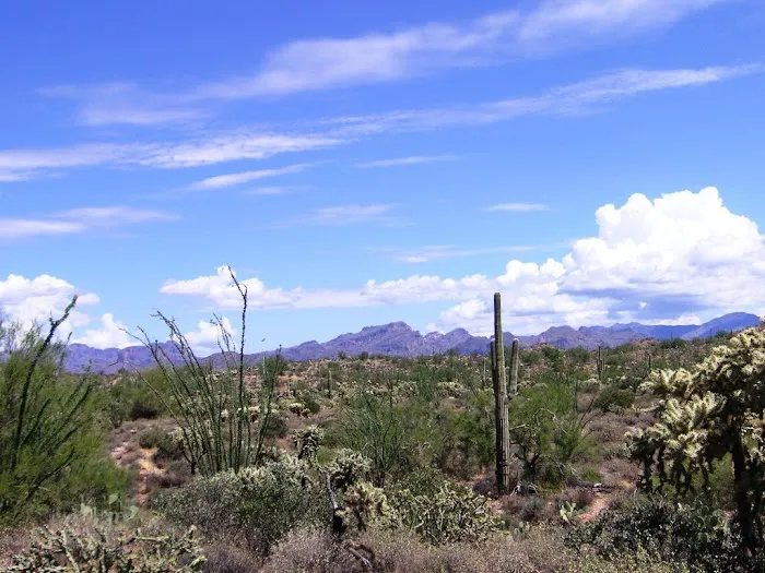 Knapp & Roberts - Phoenix 3