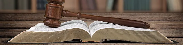 Michael Walz - Attorney at Law 1