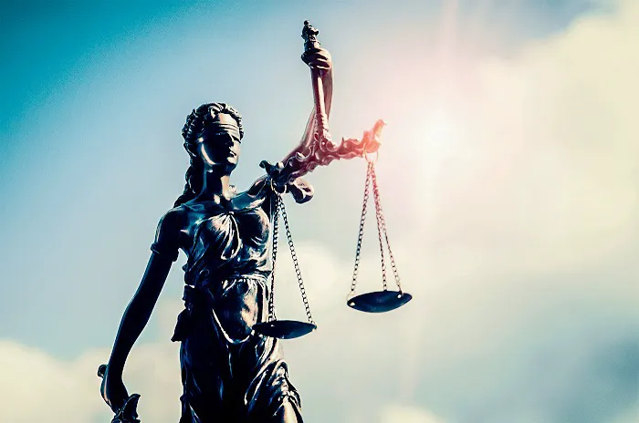 Phoenix Business Lawyer 2