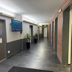 Hernandez Legal LLC ico