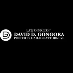 David Gongora, Esq. - Property Insurance Claim Attorney Kirkman Offices ico