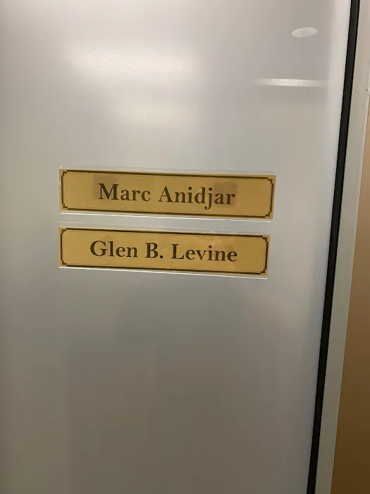 The Law Offices of Anidjar & Levine 1