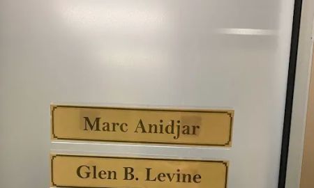 The Law Offices of Anidjar & Levine