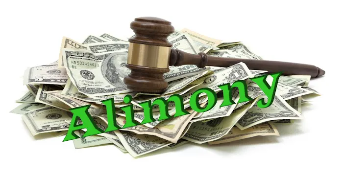 Jenkinson Legal 6