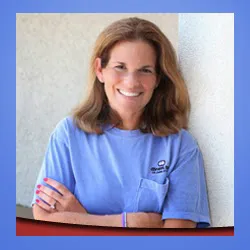 Law Office of Susan M. Korngut 1