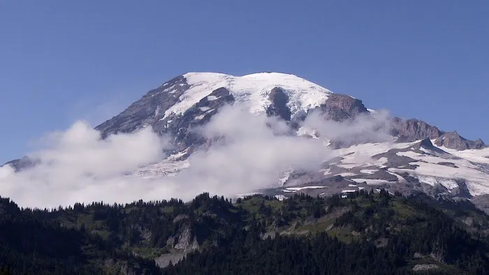 The Rainier Law Group 1